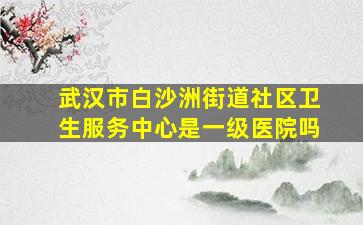 武汉市白沙洲街道社区卫生服务中心是一级医院吗