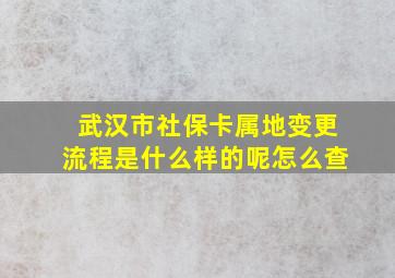 武汉市社保卡属地变更流程是什么样的呢怎么查