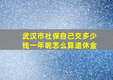 武汉市社保自己交多少钱一年呢怎么算退休金