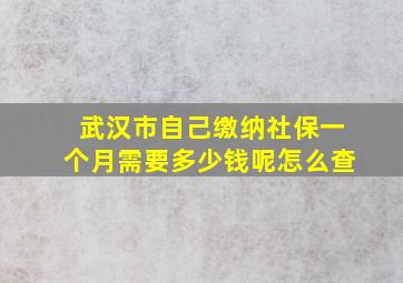 武汉市自己缴纳社保一个月需要多少钱呢怎么查