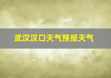 武汉汉口天气预报天气