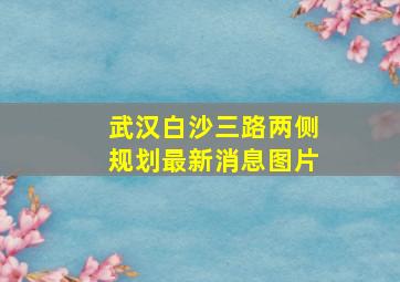 武汉白沙三路两侧规划最新消息图片