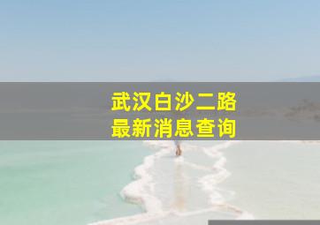 武汉白沙二路最新消息查询