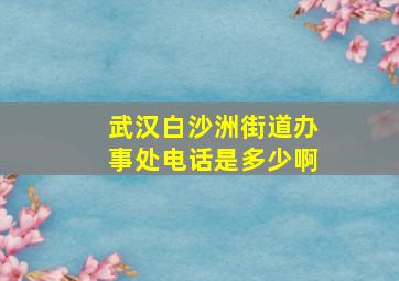 武汉白沙洲街道办事处电话是多少啊