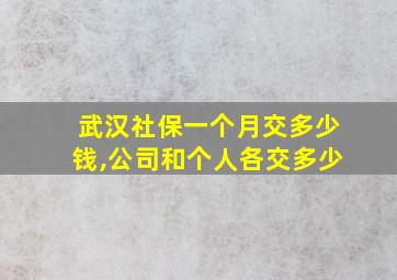 武汉社保一个月交多少钱,公司和个人各交多少