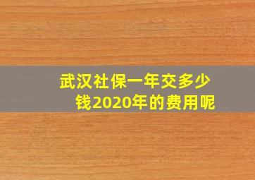 武汉社保一年交多少钱2020年的费用呢