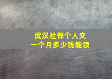 武汉社保个人交一个月多少钱能领