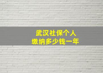 武汉社保个人缴纳多少钱一年