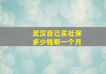 武汉自己买社保多少钱啊一个月