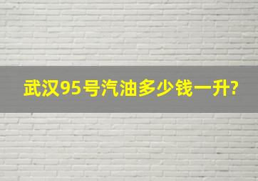 武汉95号汽油多少钱一升?