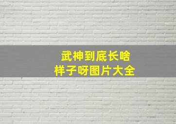 武神到底长啥样子呀图片大全