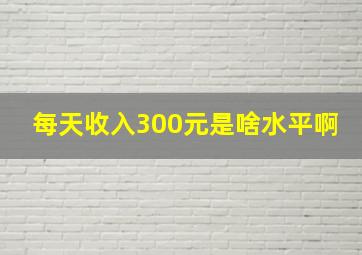 每天收入300元是啥水平啊