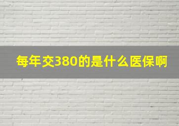 每年交380的是什么医保啊