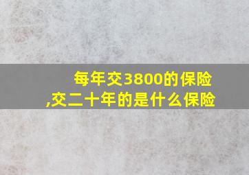 每年交3800的保险,交二十年的是什么保险