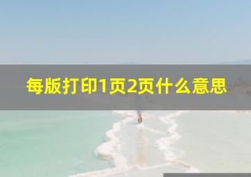 每版打印1页2页什么意思