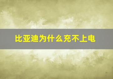 比亚迪为什么充不上电