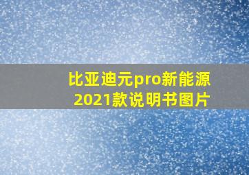 比亚迪元pro新能源2021款说明书图片