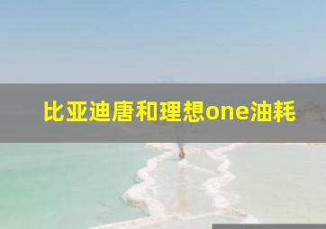 比亚迪唐和理想one油耗