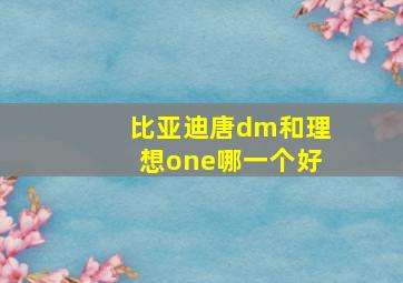 比亚迪唐dm和理想one哪一个好