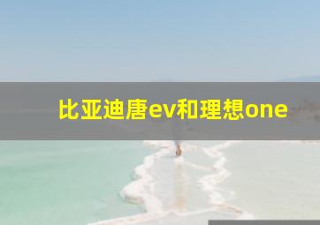 比亚迪唐ev和理想one