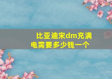 比亚迪宋dm充满电需要多少钱一个