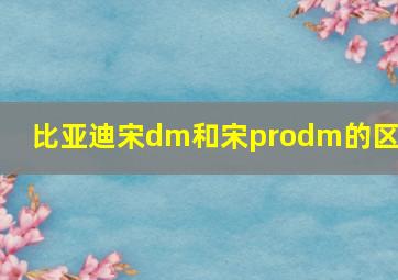 比亚迪宋dm和宋prodm的区别