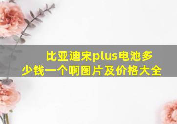 比亚迪宋plus电池多少钱一个啊图片及价格大全