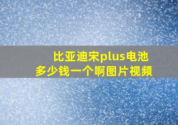 比亚迪宋plus电池多少钱一个啊图片视频