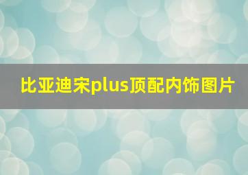 比亚迪宋plus顶配内饰图片