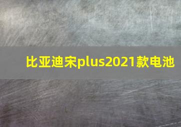 比亚迪宋plus2021款电池