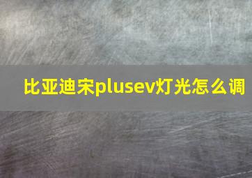 比亚迪宋plusev灯光怎么调