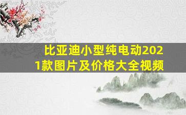 比亚迪小型纯电动2021款图片及价格大全视频