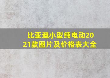 比亚迪小型纯电动2021款图片及价格表大全