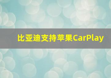 比亚迪支持苹果CarPlay