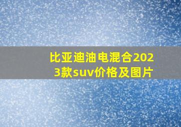 比亚迪油电混合2023款suv价格及图片