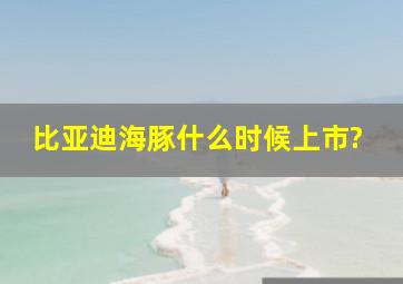 比亚迪海豚什么时候上市?