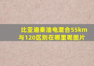 比亚迪秦油电混合55km与120区别在哪里呢图片