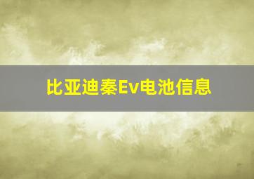 比亚迪秦Ev电池信息