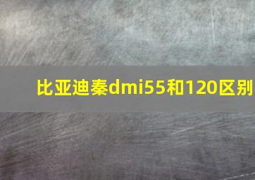 比亚迪秦dmi55和120区别