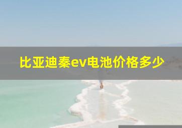 比亚迪秦ev电池价格多少