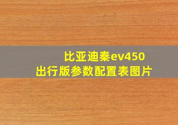 比亚迪秦ev450出行版参数配置表图片