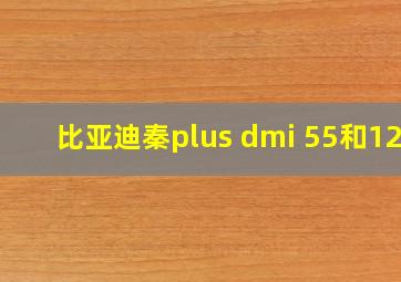 比亚迪秦plus dmi 55和120