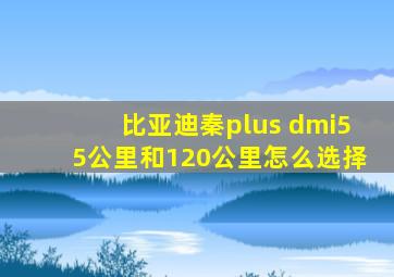 比亚迪秦plus dmi55公里和120公里怎么选择