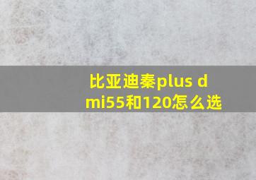 比亚迪秦plus dmi55和120怎么选