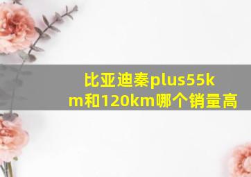 比亚迪秦plus55km和120km哪个销量高