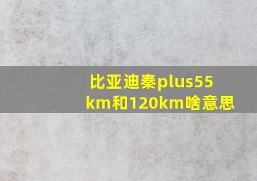 比亚迪秦plus55km和120km啥意思