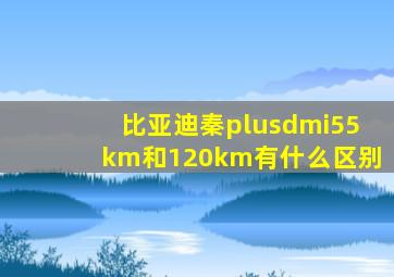 比亚迪秦plusdmi55km和120km有什么区别