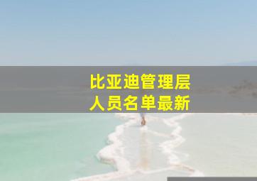 比亚迪管理层人员名单最新