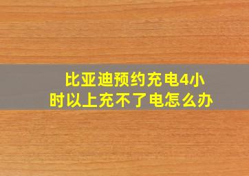 比亚迪预约充电4小时以上充不了电怎么办