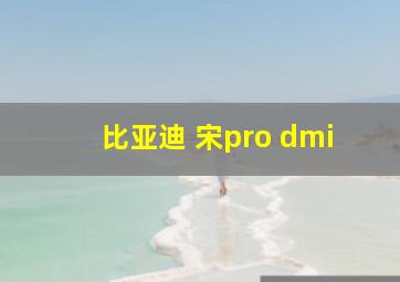 比亚迪 宋pro dmi